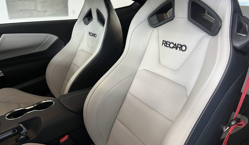 
								MUSTANG GT PREM. & PERF PACK 2024 full									