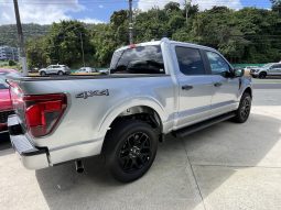 
										FORD F150 STX 2024 full									