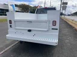 
										F250 XL CREW 4X4 SERVICE BODY full									