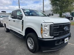 
										F250 XL CREW 4X4 SERVICE BODY full									