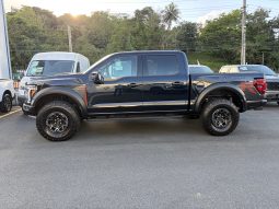 
										FORD F150 RAPTOR R full									