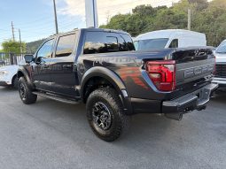 
										FORD F150 RAPTOR R full									