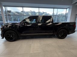 
										F150 SHELBY SUPER SNAKE full									