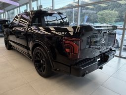 
										F150 SHELBY SUPER SNAKE full									