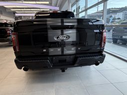 
										F150 SHELBY SUPER SNAKE full									