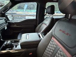 
										F150 SHELBY SUPER SNAKE full									