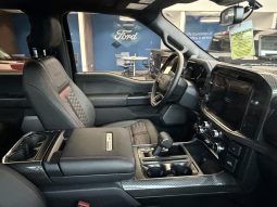 
										F150 SHELBY SUPER SNAKE full									