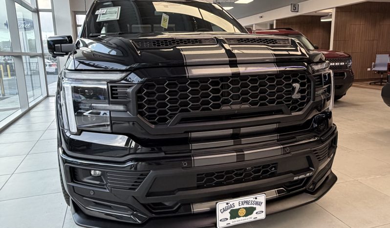 
								F150 SHELBY SUPER SNAKE full									