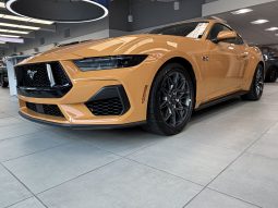 
										FORD MUSTANG GT 5.0L full									