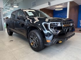 MAVERICK LARIAT TREMOR