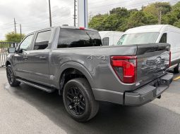 
										F-150 STX BLACK PACK full									