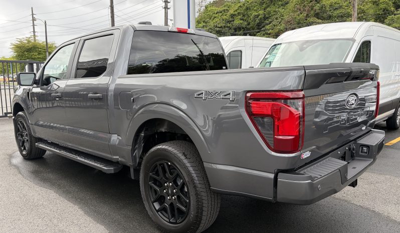 
								F-150 STX BLACK PACK full									