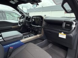 
										FORD F-150 STX FX-4 PACKAGE full									